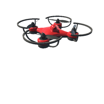 Micro Drone D